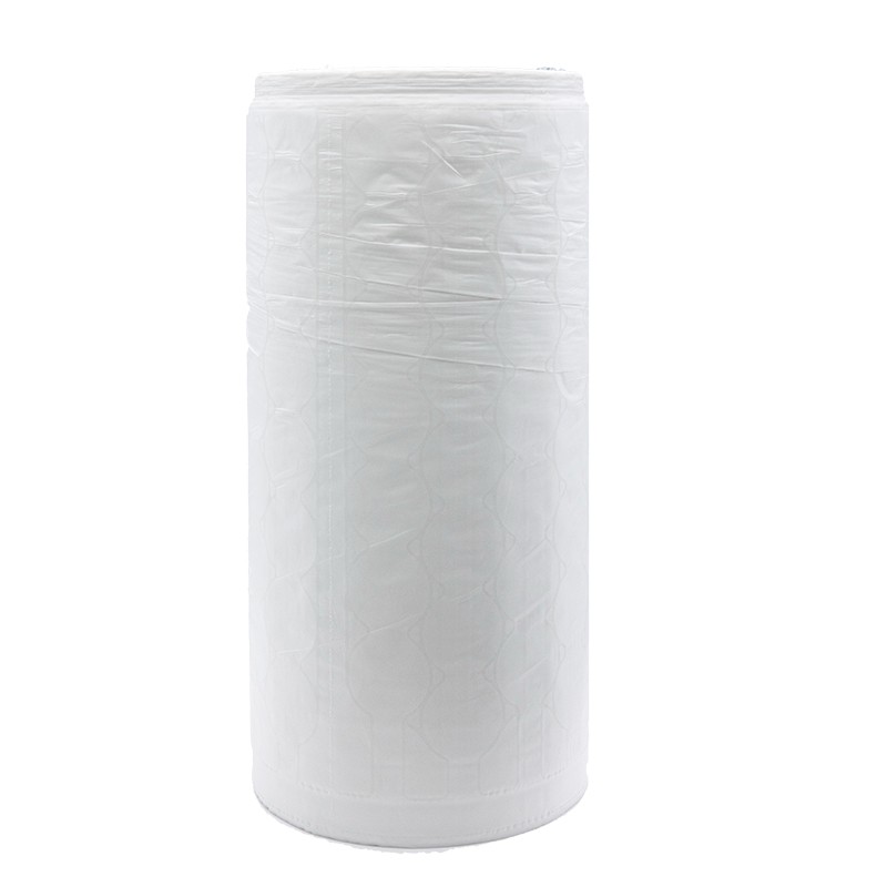 PLA Bubble Biodegradable Air Cushion Film